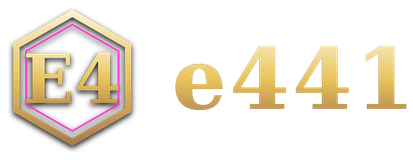 e441 logo